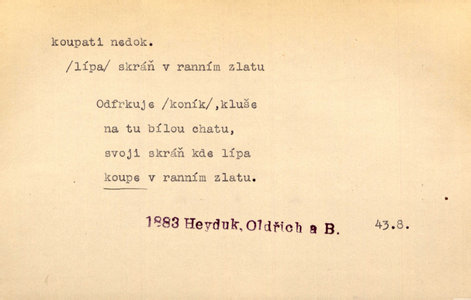 Náhled
