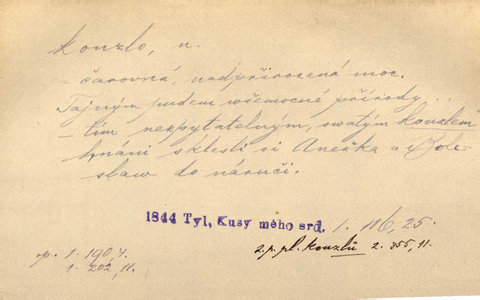 Náhled