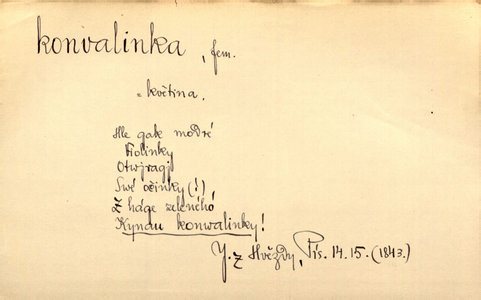 Náhled
