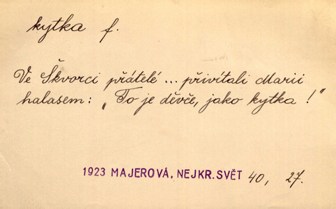 Náhled