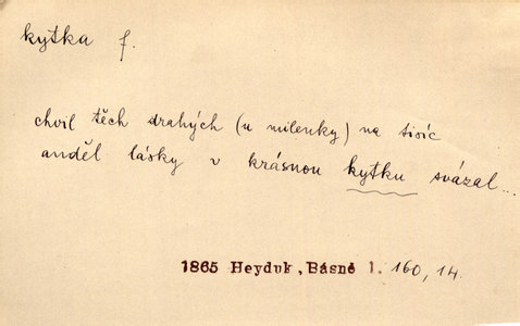 Náhled