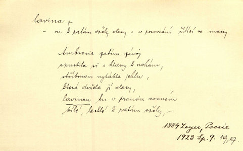 Náhled