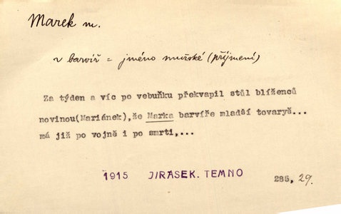 Náhled
