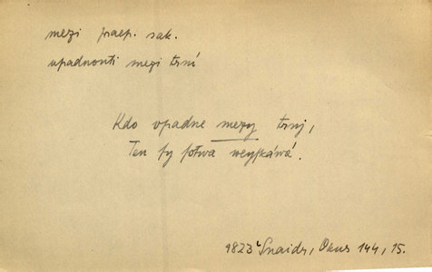 Náhled