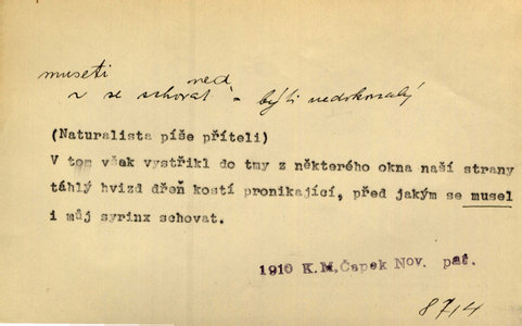 Náhled