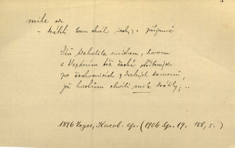 Náhled