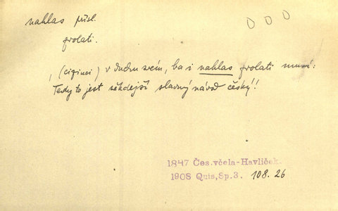 Náhled
