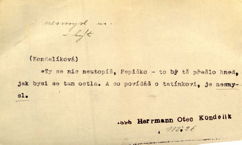 Náhled