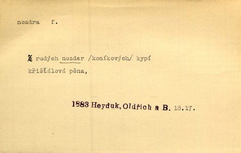 Náhled